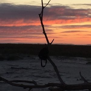 Meet your Posher, Dale